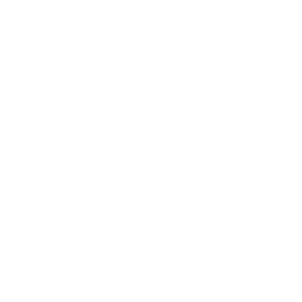 Digitale_Transformation_white